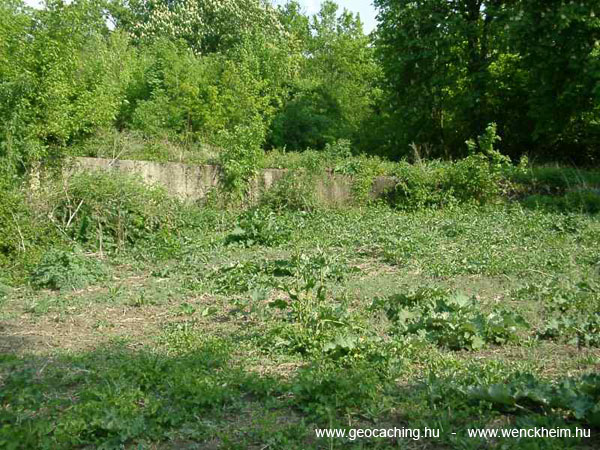 Csorvas_Nagy_majori_Wenckheim-kastely_kocsfelhajtoja_2007.