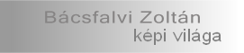 http://bacsfalvizoltan.uw.hu