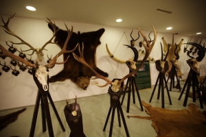 Nagyobb méretű kép megtekintése.