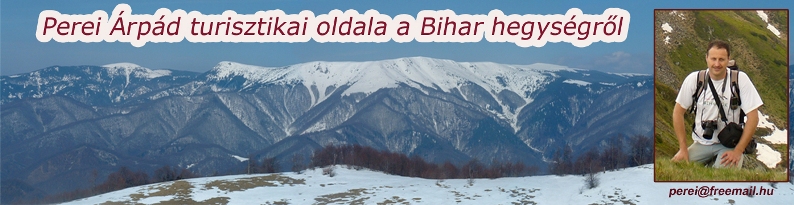 Perei Árpád honlapja