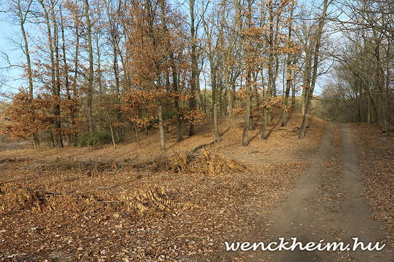 Nagyobb méretű kép megtekintése.